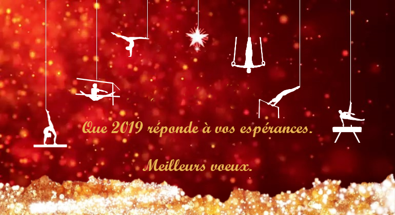 Bonne année 2019 !